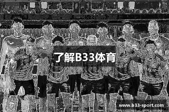 了解B33体育